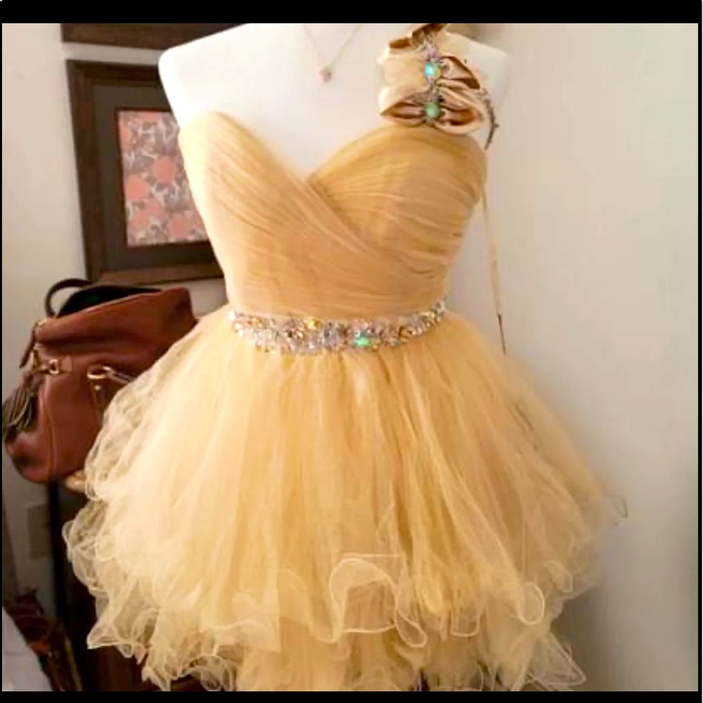 🆕Gorgeous MAY Queen dress msrp $150👑